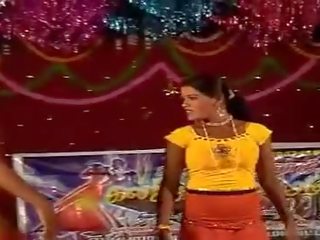 섹시한 멋진 인도의 소녀 댄스