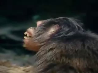Tarzan-x shame kohta jane - osa 1, tasuta täiskasvanud video 88
